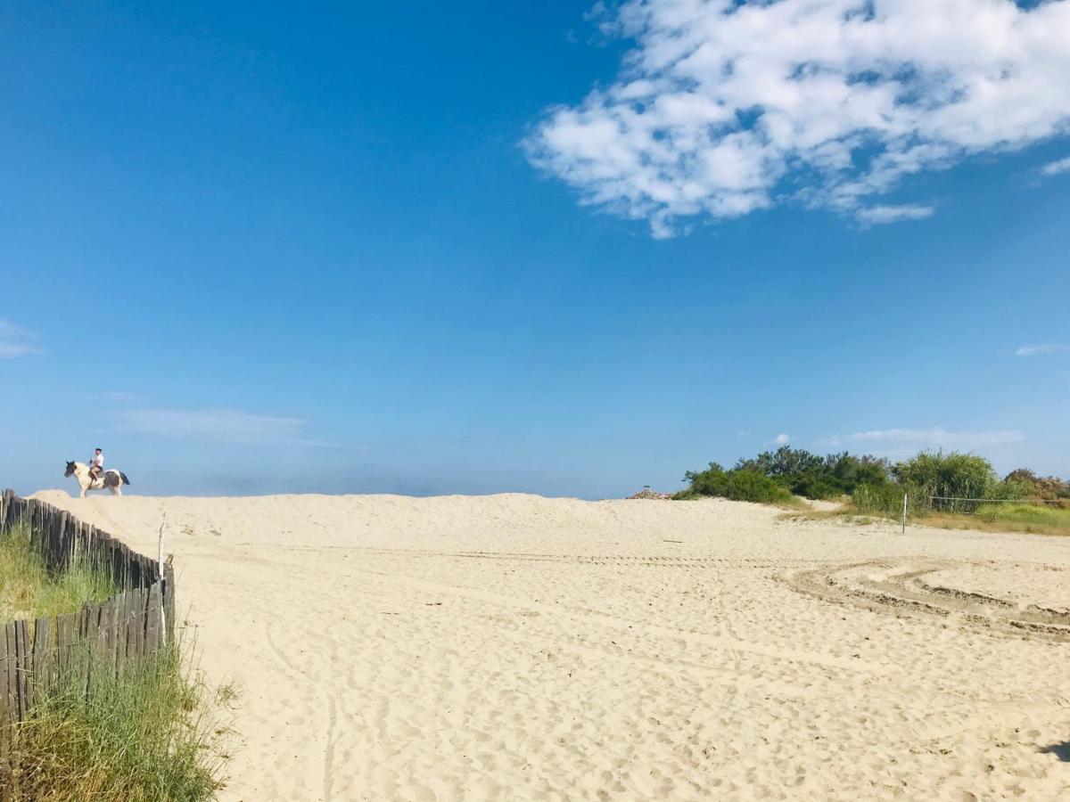 Les Capitelles Bord De Plage Avec Grande Piscine - Vue Montagne Saint-Cyprien  Bagian luar foto